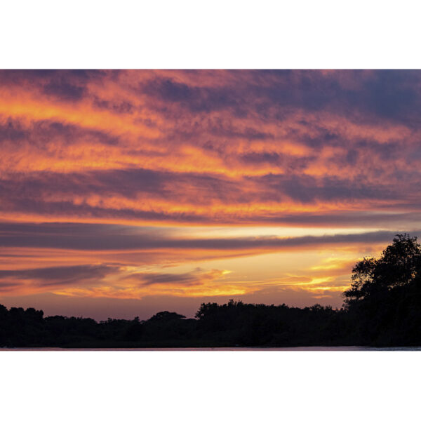 Rio Cuiabá - Pantanal - MT - 01