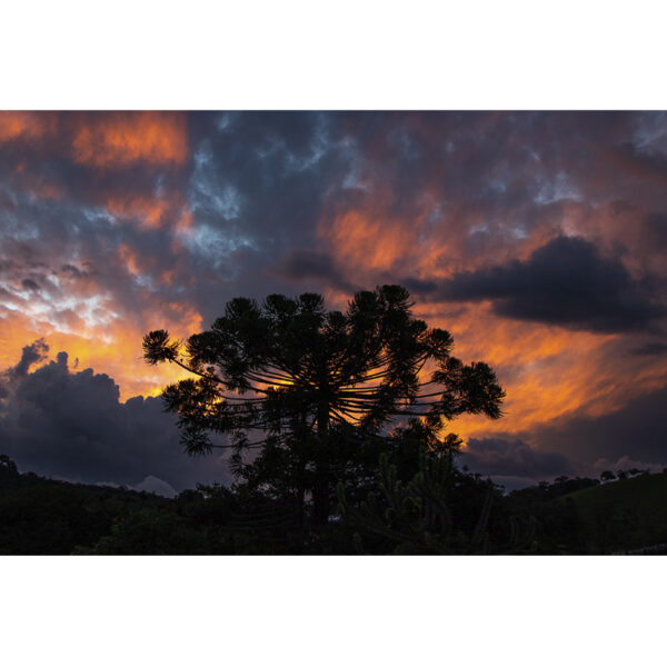 Santo Antônio do Pinhal, SP - 03