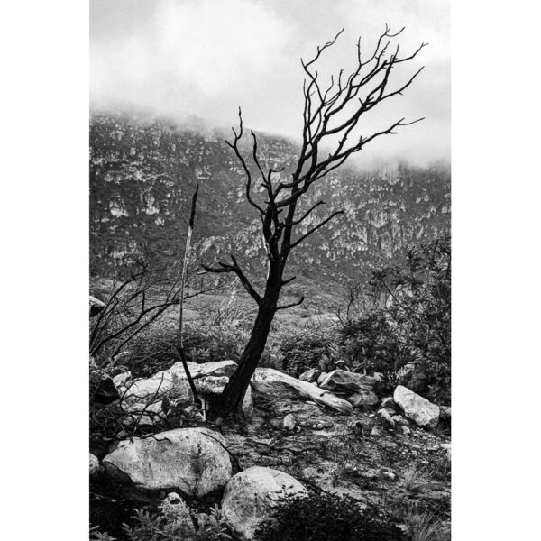 Serra do Cipó - 01