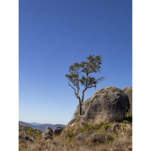 Serra da Bocaina 02