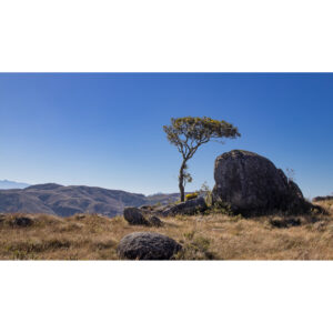 Serra da Bocaina 04