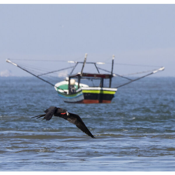 Pescando - Ilha do Mel - 2024