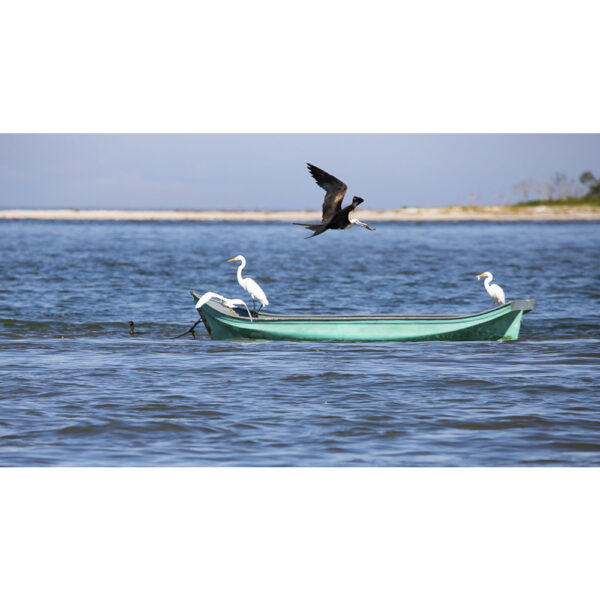 Ilha do Mel - 2024